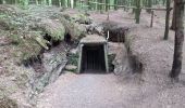 Tour Wandern Ronchamp - Ronchamp - sentier des Affleurements de l'Etançon - Photo 2