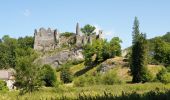 Excursión Senderismo Anhée - De Haut-le-Wastia à Salet - Photo 6