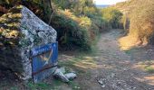 Trail Trail Groix - Bretagne-18092022-30kms - Photo 17