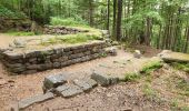 Tour Wandern Ottrott - Le circuit nord et sud du Mur Païen - Photo 1