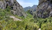 Trail Walking Marseille - bec de sormiou-baumettes - Photo 3