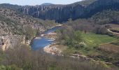 Randonnée Marche Berrias-et-Casteljau - Gorges du Chassezac - Photo 6