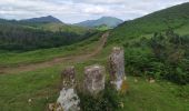 Tocht Stappen Sare - col de lizarrieta et col des 3 bornes - Photo 7