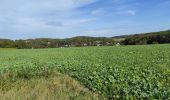 Tour Wandern Flaxlanden - Flxlanden  - Photo 1