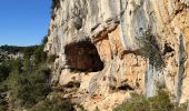 Randonnée Marche Ollioules - Chateauvallon - Courtine - Grottes du patrimoine / Chelo / Croupatier - Cap Gros - Chateauvallon - Photo 6