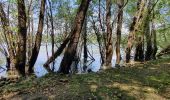 Tocht Stappen Baudinard-sur-Verdon - BAUDINARD  MONPEZAT - Photo 1