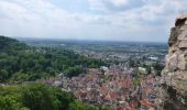 Tour Zu Fuß Weinheim - Rundwanderweg Weinheim Wachenburg 3: Taubenberg-Weg - Photo 1