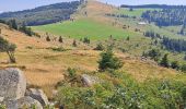 Excursión Senderismo Luttenbach-près-Munster - Petit Ballon - Steinberg en boucle - Photo 1