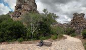 Tocht Stappen Ollioules - Gorges du Destel-28-09-22 - Photo 7