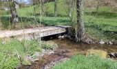 Tour Zu Fuß Schollbrunn - Kulturweg Schollbrunn - Photo 2