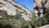 Trail Trail Cheval-Blanc - Valloncourt-Regalon-Pradon-Oppède-Combrès_VAiguille - Photo 1