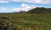 Tour Wandern Saint-Claude - La Soufrière - Photo 14