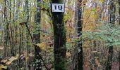 Trail Walking Bouxières-aux-Dames - Bouxiére aux Dames Any et Edith 10kms - Photo 4