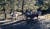 Tour Wandern Roche-Saint-Secret-Béconne - le rocher des Aures  - Photo 2