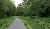 Trail On foot Roetgen - Roetgen Rundweg A3 - Photo 2