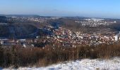 Tour Zu Fuß Gomadingen - Traufgang 