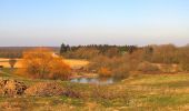 Tour Wandern Retheuil - en forêt de Retz_76_dans les forêts de Retz et de Compiègne - Photo 14