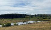 Trail Walking Houffalize - Initiation bivouac J2 - Photo 2