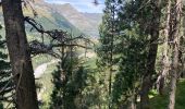 Tocht Stappen Gavarnie-Gèdre - Cirque de Gavarnie 2023 - Photo 3