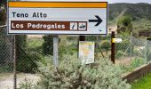 Tocht Stappen Buenavista del Norte - Teno Alto  - Photo 5