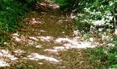 Trail Walking Plaintel - Les Mauriers par le chemin des fées. - Photo 2