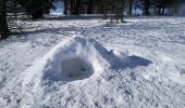 Tocht Sneeuwschoenen Sewen - Sortie raquettes Burnhaupt le Bas  - Photo 2