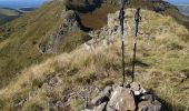 Tocht Stappen Le Fau - Puy violent  - Photo 4