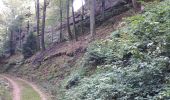 Trail Walking Éguelshardt - Notre Dame des Bois - Photo 6