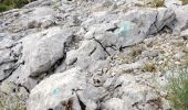 Trail Walking Le Revest-les-Eaux - Grottes de la Ripelle Mt Combe - Photo 5