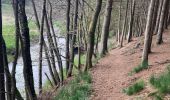 Tour Wandern Lierneux - Hierlot - Photo 16