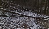 Randonnée Marche Vaire - vaire le grand  - Photo 10