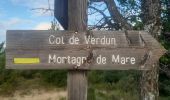 Randonnée Marche Saint-Vincent-sur-Jabron - SAINT VINCENT DU JABRON.  Aubard,  col de Verdun , le pied du mulet o l m s  - Photo 6