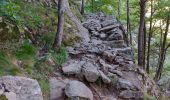 Trail Walking Thuès-Entre-Valls - Gorges de Carança - Annie le 29 juin 2022 - Photo 5