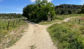 Trail Walking Courthézon - Le Lac Salé  - Photo 1