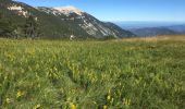 Trail Trail Beaumont-du-Ventoux - Ventoux-05072020 - Photo 11