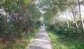 Trail On foot Sint-Lievens-Houtem - Natuurwandeling Cotthem - Photo 5