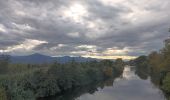 Tour Wandern Argelès-sur-Mer - réserve du mas Larrieu de part et d autre du Tech - Photo 6