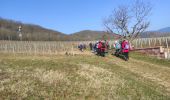 Randonnée Marche Soultzmatt - Soutzmatt Orschwihr Bollenberg  - Photo 3