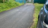 Trail Trail Capesterre-Belle-Eau - Barrage de routiers  - Photo 1