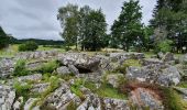 Tocht Stappen Saint-Merd-les-Oussines - RA2020 MIV Tour Tourbière Loigeroux - Photo 12