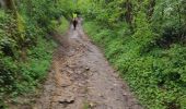 Trail Horseback riding Chasselay - Chasselay 20230423 - Photo 4