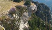 Trail Walking Rimon-et-Savel - Rimon-et-Savel CKCC - Photo 17