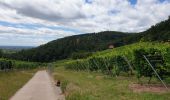 Tour Wandern Kestenholz - Le Hahnenberg et les balcons de Sélestat - Photo 11