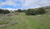 Trail Walking Caussols - De Caussols vers le sommet et le plateau de Calern - Photo 14