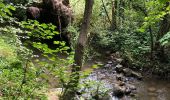 Tour Hybrid-Bike Florennes - Florennes-Bois de Fraire- St Aubin-Florennes - Photo 2