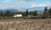 Tour Wandern Sarrians - sarrians 84 les garrigues sud  - Photo 5