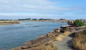 Tocht Stappen Perros-Guirec - sentier douaniers - Photo 14