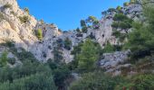 Trail Walking Toulon - faron Daniel Louis   sud et sommet - Photo 1