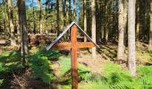 Trail Walking Trois-Ponts - logbierme 060824 - Photo 11