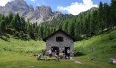 Trail On foot Forni di Sopra - IT-369 - Photo 1